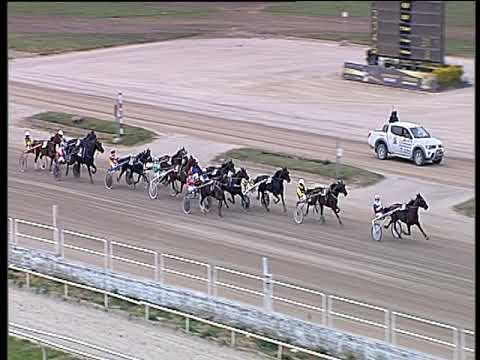 Trotto 02/04/2019 - 5ª corsa