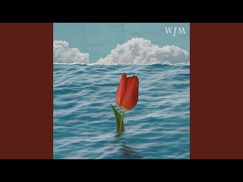 Download WIM - Weirdo MP3