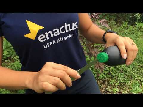 Eco Xingu :77 Film Festival Submission