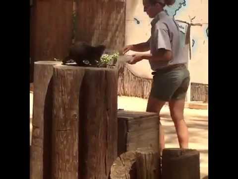 Wildlife World Zoo : Memorial Day 2015