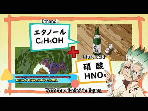 Dr Stone - Senku and Taiju Revive The Bird