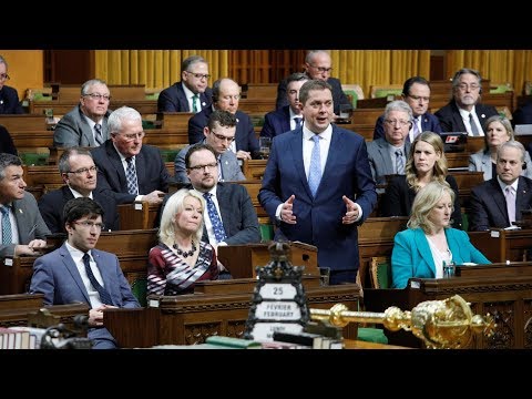 QP Live // PÉRIODE DE QUESTIONS EN DIRECT