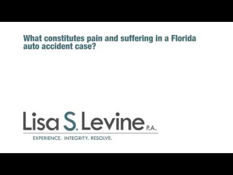 What constitutes pain and suffering in a Florida auto accident case?
