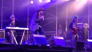 Newham UTS Central Park 13 Aug15 Pt12 (Aswad)