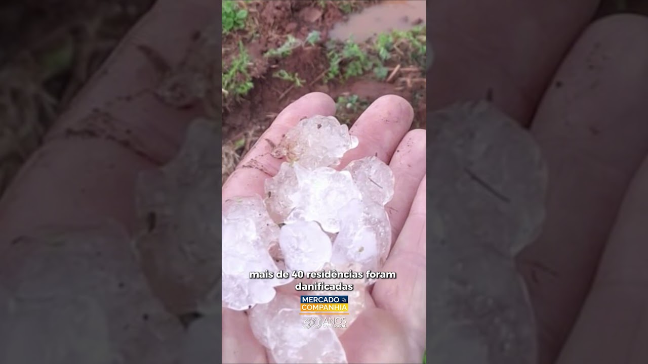 Chuvas provocam estragos e deixam municípios em situação de emergência no Sul