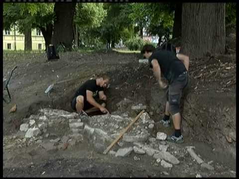 TV KOKTEL 27.07.2017.