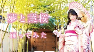 『夢と葉桜』踊ってみた【白石ありさ】