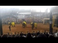 Latest elephant atrocities viral video- Noong nooch-Thailand