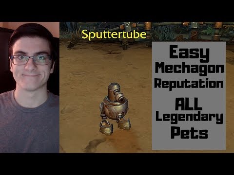 How To Get Quick Reputation In Mechagon And Defeat All Legendary Pets