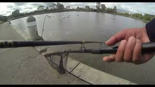 Fishing and Hunting BIG Fish