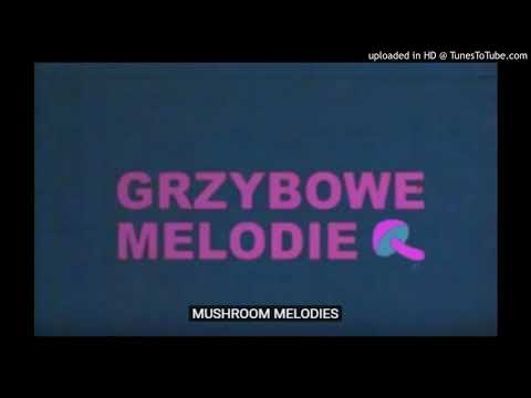 Grzybowe Melodie - Ballada w Rytmie Dżins (Re-master)