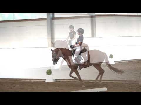 3j. Wallach v. Diamond Touch NRW