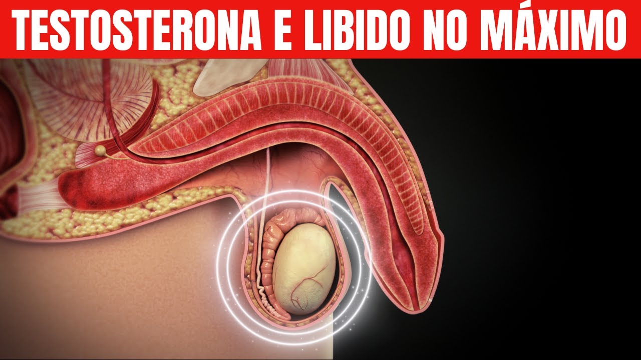 Top 10 Alimentos para Impulsionar a Testosterona e Turbinar a Libido
