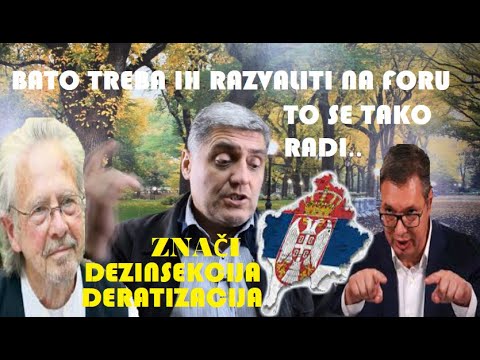 DOKTOR MIROLJUB PETROVIĆ IMA RECEPT ZA K&M- Vučić će preveslati Albance, isto kao i svet sa Handkeom