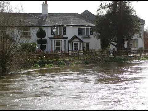 Places to see in ( Ringwood - UK )