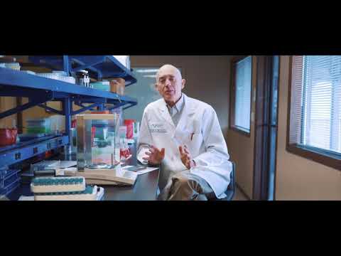 How often you should take an Omega 3 Index test