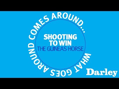 Shooting to Win - first yearlings at the sales now!