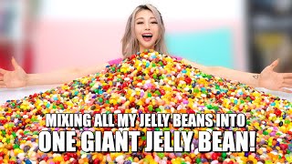 Mixing 10,000 Jelly Beans Into One Giant Jelly Bean!