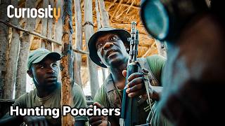 CuriosityStream Guardians: Camera Traps Reveal Poachers — High‑Speed Chase! 