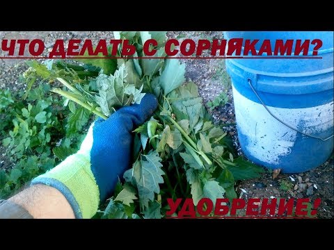 Удобрение из сорняков / Как использовать  сорняки на участке? / Сад и огород