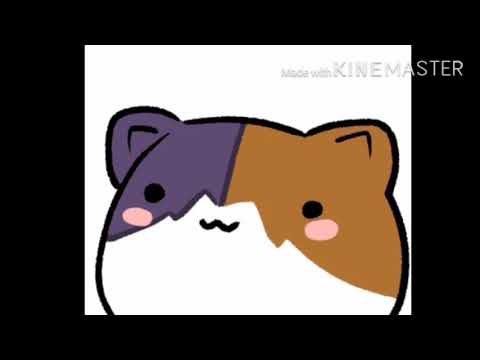 I love my kitty cat 🐱😍🐱