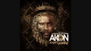 Akon feat. Busta Rhymes - Call Da Police