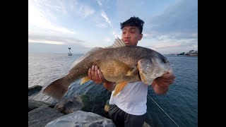 Lake Erie: Fishing for sheephead with live goby
