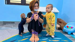 Watch All Super Cute And Smart Videos of Monkey Kaka and baby Diem