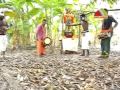 Sivaperuman Kaval Deivam Karuppasamy