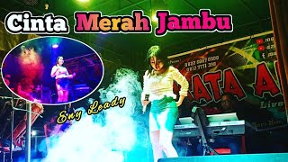 Download lagu cinta merah jambu | dangdut remix orgen tunggal cover Eny leady || mata air music mp3 Download lagu cinta merah jambu | dangdut remix orgen tunggal cover Eny leady || mata air music mp3
