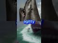 MEGASHARK 2010 Vs Megalodon The Frenzy