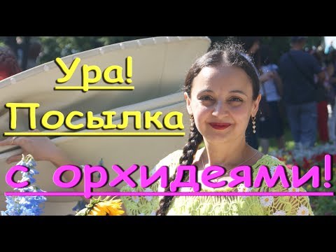 ПОСЫЛКА с ОРХИДЕЯМИ:Cattleya,Masdevallia!ПРИВЕТ Галине Хан!!!