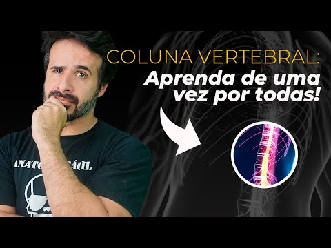 COLUNA VERTEBRAL APRENDA DE UMA VEZ POR TODAS!
