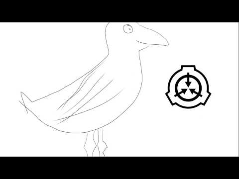 Team bird, SCP