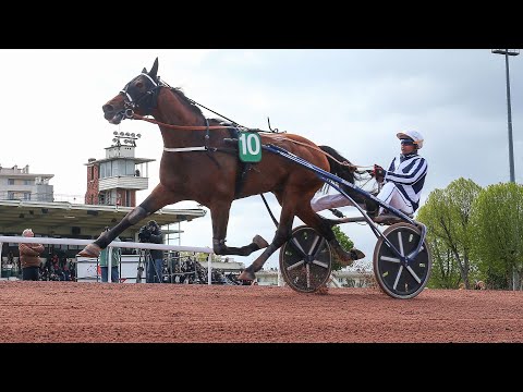HORSY DREAM (Eric Raffin) - G1 Prix de L’ Atlantique