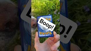 thoughts on this lil guy? #pokemon #pokemonchannel #collectiblecards #pokemontcg #nostalgia #tcg
