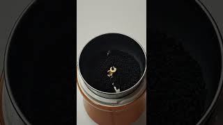 Black Seeds and Honey Best Remedy Ever