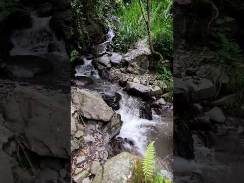 🏞️Está Cascada escondida en medio de las montañas es increíble en 📍 San Andrés - Santander #turismo