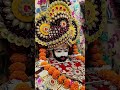 Humsa Pagal Na Hoga ️ Song Music Love Khatubhajans Cover Khatuwalashyam Shyambaba