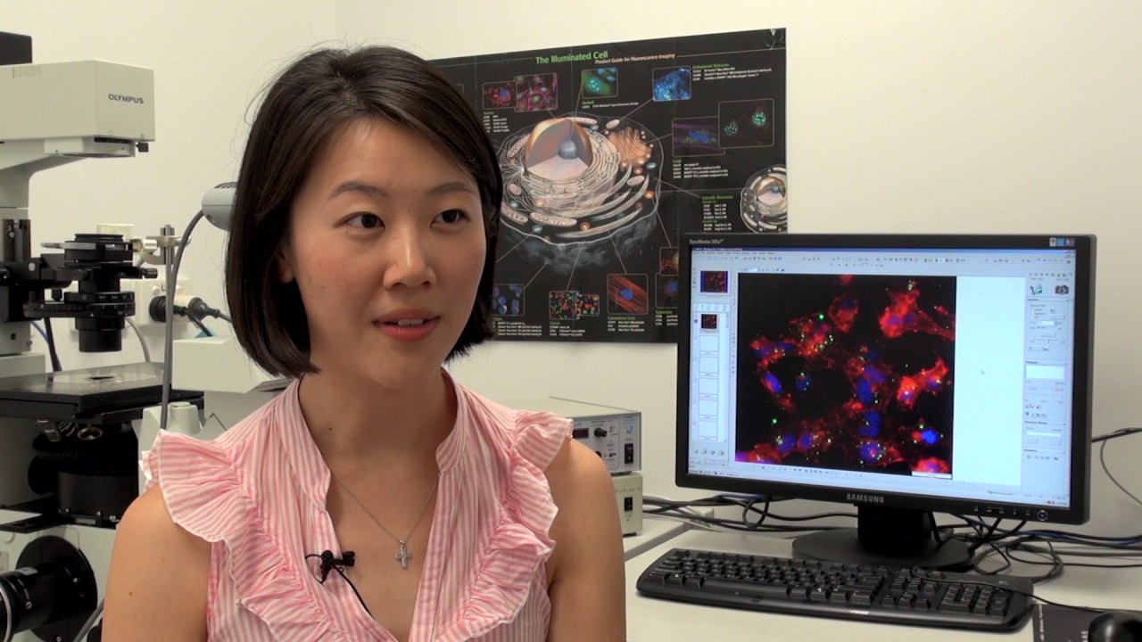 Discover Doctor of Philosophy (Medicine) - sepsis research