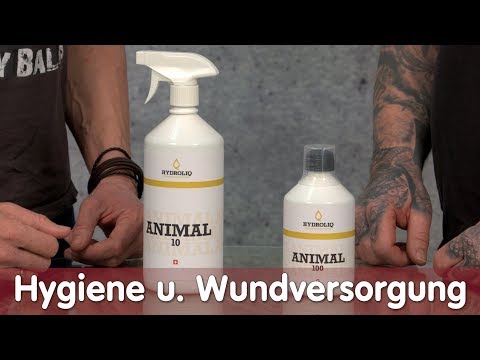 Reptil TV - Folge 110 – Desinfektion, Hygiene, Wundversorgung