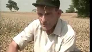 "So you dont believe in Crop Circles" (Watch This)