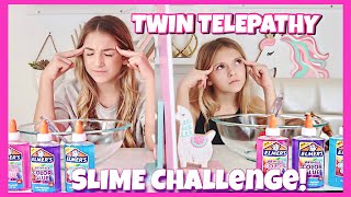 Twin Telepathy Slime Challenge | 3 color slime | Quinn Sisters