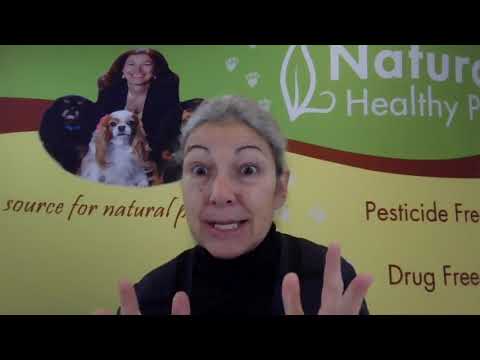 How to Read and Interpret Lab Results