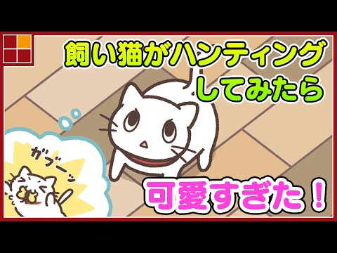飼い猫ぐらし -かわいい動物育成ゲーム Video