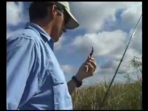 Pira Lodge - We Struck Gold!