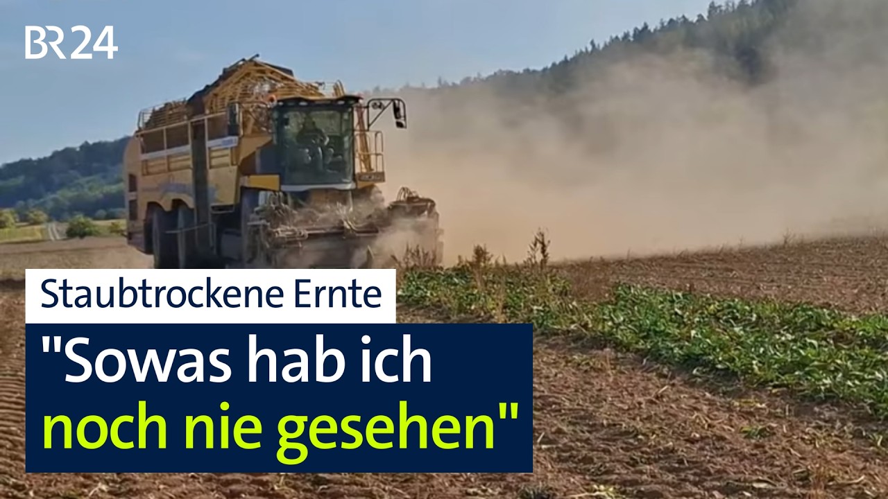 Katastrophen-Ernte nach Hitze-Sommer: Was bleibt da an Erntedank zu danken? | Abendschau | BR24