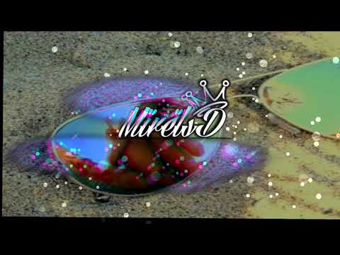 •|TDW X ONLY C|• •|Holidays|•