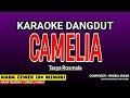 CAMELIA KARAOKE DANGDUT TASYA ROSMALA