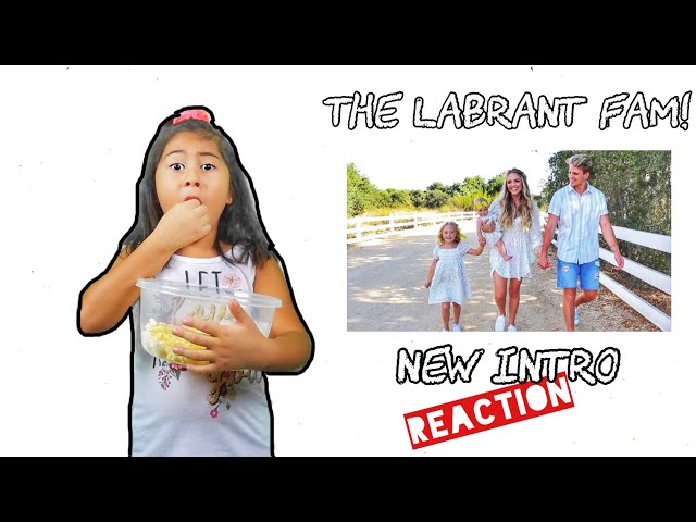 Видео Произношение labrant в Английский